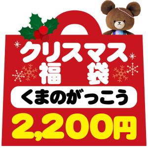 クリスマスの袋入り〔xwrap31〕 福袋・ラッピング不可