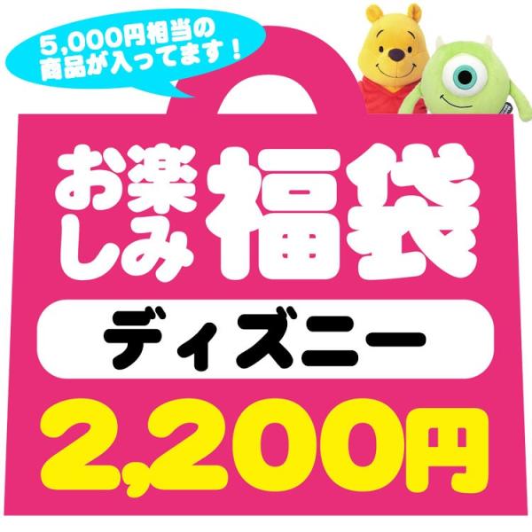 お1人様１セット限り 限定福袋・ラッピング不可 1909 ディズニーキャラクター福袋