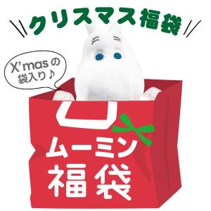 福袋 ムーミン クリスマス福袋  ラッピング不可 お１人様１点限り