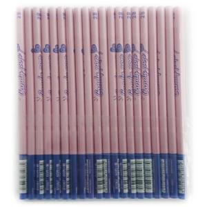 1Pack 20本入り ファンシー文具 オリジナル鉛筆2B アイスキャンディー