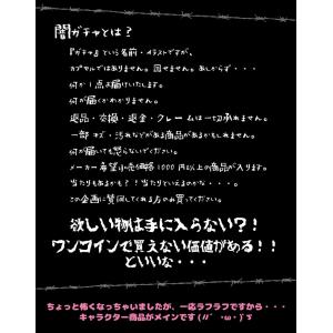 ss0904 闇ガチャ 何が出るかは運次第!?...の詳細画像2