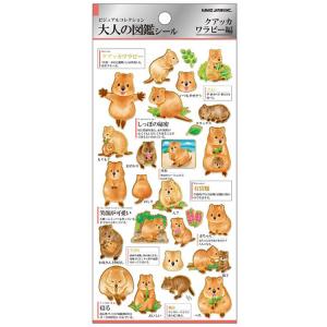 クワッカーワラビーの商品一覧 通販 Yahoo ショッピング