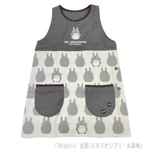 エプロン 割烹着 千と千尋の神隠し 橋の上から ネコポス対応品 724622