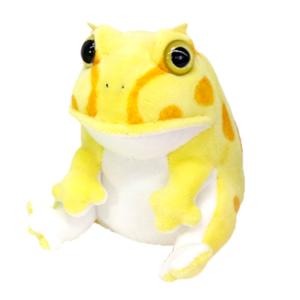 Picnica ツノガエル ぬいぐるみ かえる カエル サン・アロー : HONDA