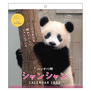 22 カレンダー シャンシャン パンダ 川柳 壁掛け スケジュール Apj かわいい 動物 写真 キャラクターのシネマコレクション 通販 Paypayモール