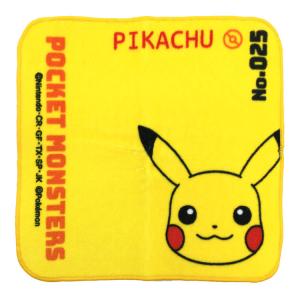 ポケットモンスター ポケモングッズ インクジェットプチタオル