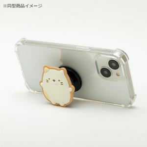 すみっコぐらし POCOPOCO とかげ ポコ...の詳細画像3