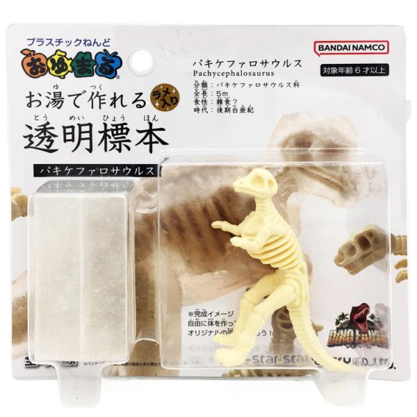 ディノ・アース おゆまる お湯で作れる透明標本 パキケファロサウルス 恐竜 お湯 やわらかく 冷やす...