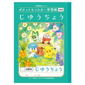 ポケットモンスター PL-2-2L B5判学習帳 さんすう17マス(13×17マス