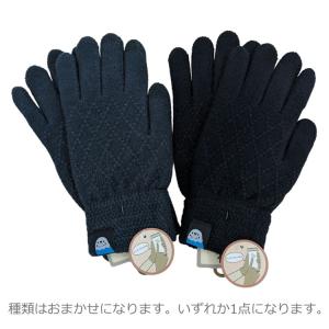 【種類はおまかせ】インコ GV-113S スマホ手袋 ウインターアイテム タグ付き｜cast-shop