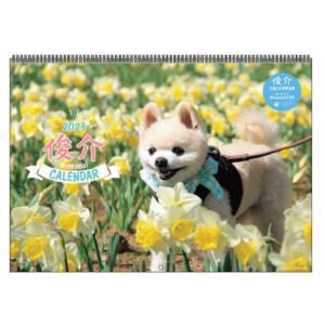 俊介 [2023年カレンダー]1000123672 壁掛け リング 080264　セール・ラッピング不可