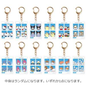 中身はランダム】サンリオキャラクターズ トレーディングアクリル