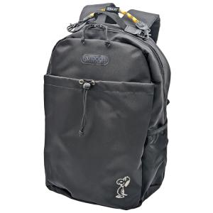 COACH コーチCOACH スヌーピー バック 2025 新作 新品 PEANUTS