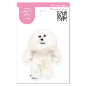 cast-shop_pbm2cs37219