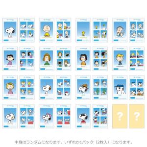 中身はランダム】サンエックスユニバース あつめてカードコレクション