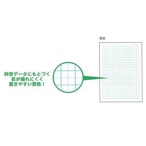 ちいかわ ジャポニカ学習帳 5mm方眼罫 リー...の詳細画像2