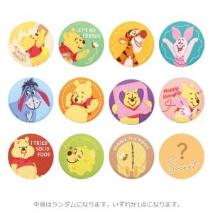 ディズニー ずっとぎゅっと レミン＆ソラン あそびひろがる！ おおきな