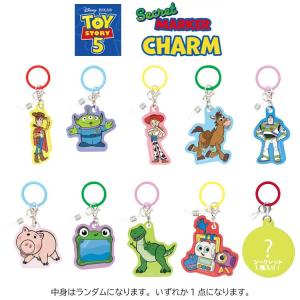 中身はランダム】ディズニー 硬質カードケース part1 推し活グッズ