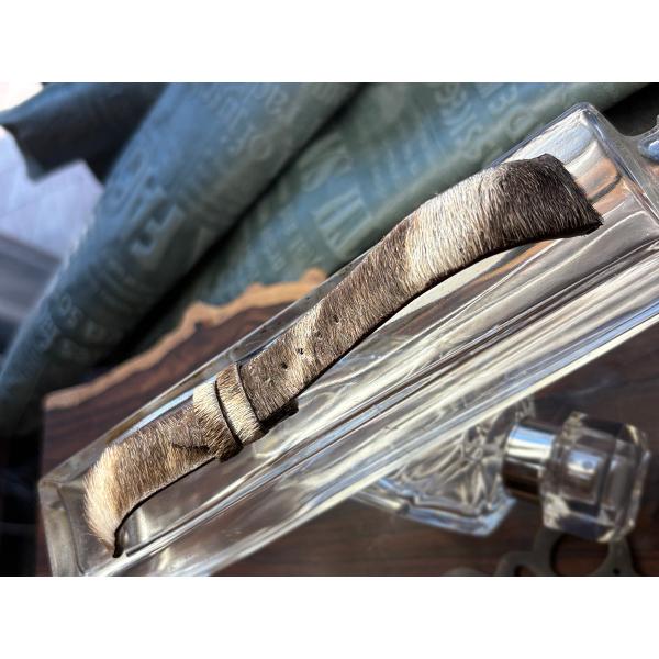 20（19）ｍｍ、超希少！野生ゼブラ（シマウマ）最後のチャンス！