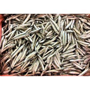 冷凍品 カタクチイワシバラ凍結 6kg(1回の購入2個まで)