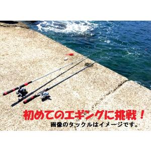 イカ釣り用竿 ロッド 釣り竿 の商品一覧 釣り アウトドア 釣り 旅行用品 通販 Yahoo ショッピング