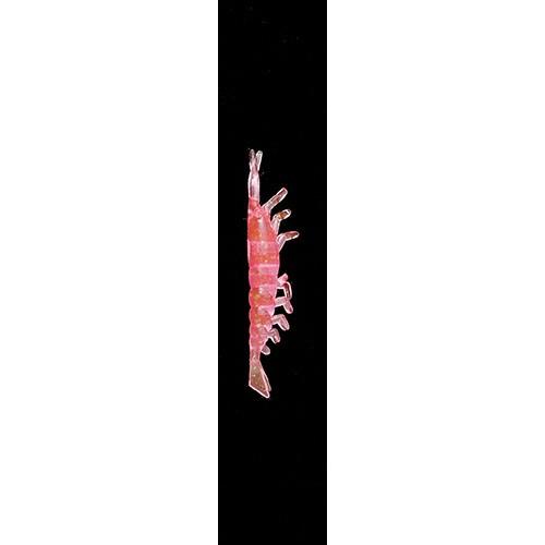 ヤマリア ワームバケ2 モエビ M P タコベイト