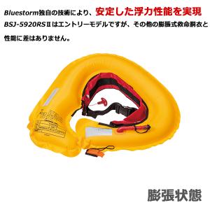 高階救命器具 ブルーストーム BSJ-5920...の詳細画像1