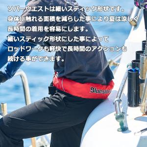高階救命器具 ブルーストーム BSJ-5920...の詳細画像2