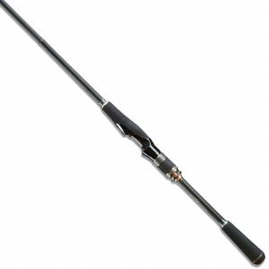 DAIWA（ダイワ） アナリスター73 30−300 ／船竿 : つり具の