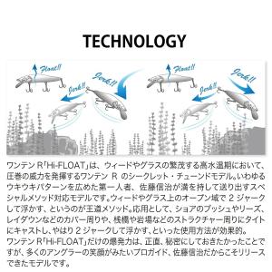 【爆買】【ネコポス対象品】メガバス バスルアー...の詳細画像2