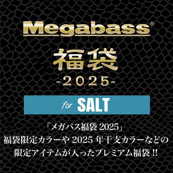 メガバス  2025 Megabass福袋 SALT SET 【1月上旬頃発売予定 ※他商品同時注文...