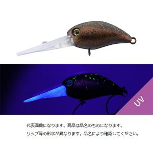 SLP WORKS SLPワークス 20ソルティガ 10000スプール ネイビーブルー