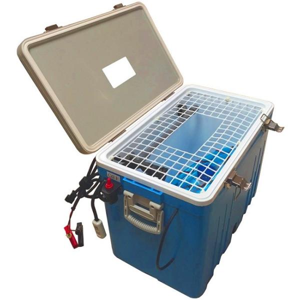 エンジン エンジン自動循環式ライブウェル