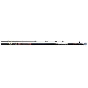 DAIWA（釣り） ダイワ 幻覇王石鯛MH 504・Q 石鯛竿 : 釣具の