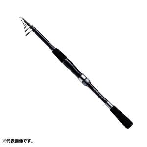 DAIWA（ダイワ） 【目玉商品】ダイワ エメラルダス X IL 83ML (2018年