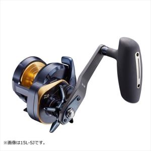 DAIWA（釣り） ダイワ メガドライ 4−52 遠投 ／磯竿