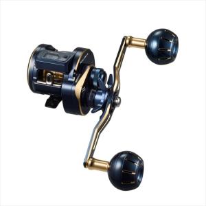 DAIWA(釣り) ダイワ(Daiwa) リール ソルティガ BJ 200HL (左 DAIWA(釣り) ダイワ(Daiwa) リール ソルティガ BJ 200HL (左