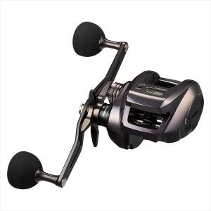 DAIWA（釣り） ダイワ ソルティガIC 100HL-DH : つり具の銭屋