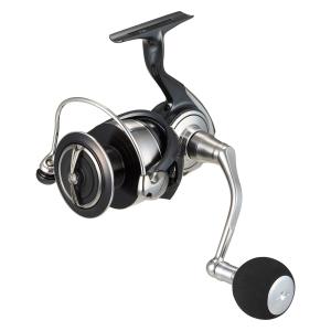 DAIWA(釣り) ダイワ 24 セルテート SW 6000-H (2024年モデル DAIWA(釣り) ダイワ 24 セルテート SW 6000-H (2024年モデル