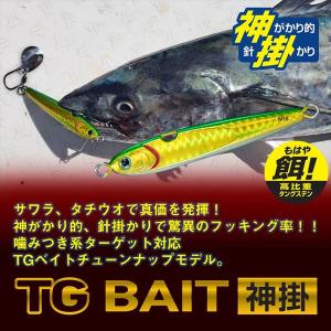 【ネコポス対象品】ダイワ メタルジグ TGベイ...の詳細画像1