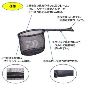 ダイワ ランディングネット アユイングネット ...の詳細画像2