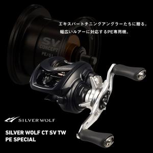 ダイワ ベイトリール シルバーウルフ CT S...の詳細画像5