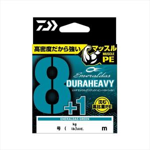 DAIWA（ダイワ） UVF ソルティガセンサー 12ブレイドEX＋Si 200m 0.6号