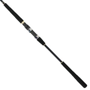 DAIWA（ダイワ） 船竿 ライトアジX 170・R : 釣具のポイント東日本