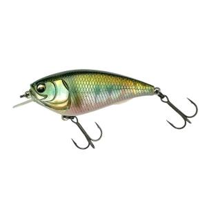 IMAKATSU イマカツ ゲキアサシャッド スタンダードカラー その1