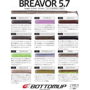 ボトムアップ ブレーバー (BREAVOR) 5.7インチ 5.7 T201 ナチュラルシャッド ワームの商品画像