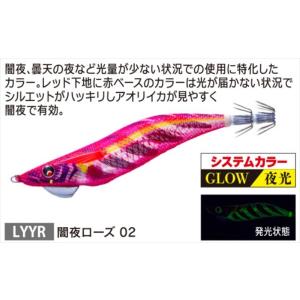 DAIWA（ダイワ） 24 エメラルダス X LT2500-XH-DH : つり具のヨコオ