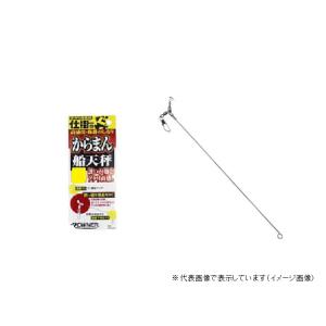 オーナー カラマン船天秤 25 天秤