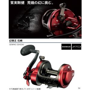 Daiwa SEALINE SL20SH リール Daiwa Sealine Slosh 20 and 30 Multiplier/Fishing Reels