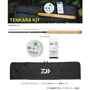 DAIWA（ダイワ） 早春中継 硬調硬65M 渓流竿 : 釣具のキャスティング